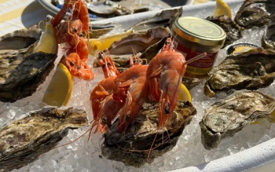 Plateau de fruits de mer garni d'huîtres fraîches du Cap Ferret, crevettes roses et tranches de citron sur glace pilée pour traiteur mariage à Bordeaux.